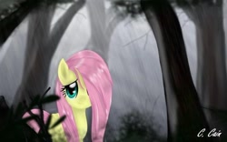 Size: 720x450 | Tagged: safe, artist:c-cain, imported from derpibooru, fluttershy, pegasus, pony, female, forest, hair over one eye, looking at you, mare, rain, smiling, solo, wet mane