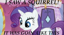 Size: 1362x758 | Tagged: safe, edit, edited screencap, imported from derpibooru, screencap, rarity, pony, unicorn, sisterhooves social, carousel boutique, female, gir, hub logo, hubble, image macro, invader zim, lip bite, mare, meme, parody, scrunchy face, solo, the hub