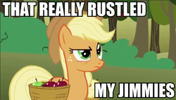 Size: 598x340 | Tagged: safe, edit, edited screencap, imported from derpibooru, screencap, applejack, earth pony, pony, applejack is not amused, female, image macro, jimmies, mare, meme, rustled my jimmies, solo