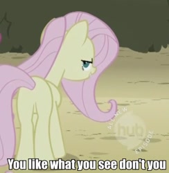 Size: 384x394 | Tagged: safe, edit, edited screencap, imported from derpibooru, screencap, fluttershy, pegasus, pony, season 2, the return of harmony, butt, caption, discorded, female, flutterbitch, hub logo, hubble, image macro, mare, meme, plot, rear view, solo, the hub