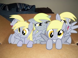 Size: 4000x3000 | Tagged: safe, imported from derpibooru, derpy hooves, pegasus, pony, box, derpies, female, irl, mare, multeity, photo, ponies in real life, pony in a box, scrunchy face, unstoppable force of derp, vector