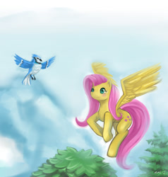 Size: 1024x1076 | Tagged: safe, artist:dozer, imported from derpibooru, fluttershy, bird, blue jay, pegasus, pony, blushing, female, flying, mare, smiling, solo, spread wings, wings