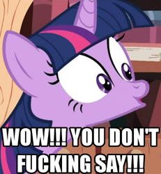 Size: 462x500 | Tagged: safe, edit, edited screencap, imported from derpibooru, screencap, twilight sparkle, pony, unicorn, female, image macro, mare, meme, reaction image, solo, vulgar, you don't say