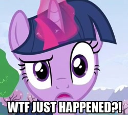 Size: 389x350 | Tagged: safe, edit, edited screencap, imported from derpibooru, screencap, twilight sparkle, pony, unicorn, confused, female, mare, reaction image, solo, wtf