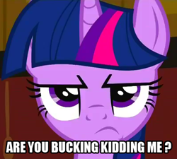 Size: 400x360 | Tagged: safe, edit, edited screencap, imported from derpibooru, screencap, twilight sparkle, pony, unicorn, annoyed, are you kidding, female, mare, reaction image, solo