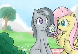 Size: 900x623 | Tagged: safe, artist:speccysy, imported from derpibooru, fluttershy, marble pie, earth pony, pegasus, pony, female, lesbian, lollipop, marbleshy, mare, outdoors, picnic blanket, shipping, sitting, smiling