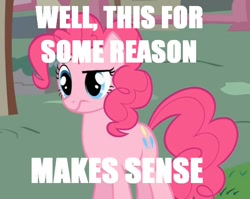 Size: 752x598 | Tagged: safe, edit, edited screencap, imported from derpibooru, screencap, pinkie pie, earth pony, pony, caption, confused, female, frown, mare, solo