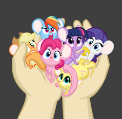 Size: 412x402 | Tagged: safe, artist:furseiseki, imported from derpibooru, applejack, fluttershy, pinkie pie, rainbow dash, rarity, twilight sparkle, human, mouse, applemouse, cheese, cute, dashabetes, diapinkes, female, fluttermouse, food, hand, holding, in goliath's palm, jackabetes, mane six, mousified, my little pony, pinkie mouse, rainbow mouse, raribetes, rarimouse, shyabetes, size difference, species swap, twiabetes, twimouse, weapons-grade cute