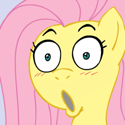 Size: 945x945 | Tagged: safe, artist:megasweet, imported from derpibooru, fluttershy, pegasus, pony, blushing, close-up, faic, female, mare, open mouth, pog, reaction image, shocked, simple background, solo, wide eyes