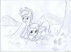 Size: 3509x2550 | Tagged: safe, artist:vd-dv, imported from derpibooru, applejack, fluttershy, appleshy, female, high res, lesbian, monochrome, shipping