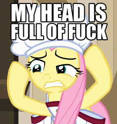 Size: 471x499 | Tagged: safe, imported from derpibooru, fluttershy, image macro, meme, vulgar