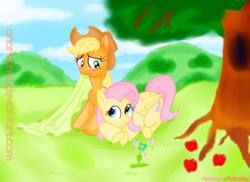 Size: 900x654 | Tagged: safe, artist:anorelle, artist:vd-dv, imported from derpibooru, applejack, fluttershy, appleshy, blanket, colored, female, field, lesbian, shipping