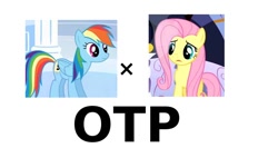 Size: 1008x572 | Tagged: safe, imported from derpibooru, fluttershy, rainbow dash, exploitable meme, female, flutterdash, lesbian, meta, otp, shipping