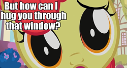 Size: 945x509 | Tagged: safe, imported from derpibooru, apple bloom, pony, bronybait, cute, dilated pupils, female, fourth wall, hug, image macro, looking at you, sad, solo