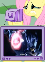 Size: 563x771 | Tagged: safe, imported from derpibooru, fluttershy, pony, exploitable meme, fluttercry, kamen rider, kamen rider kabuto, kamen rider kick hopper, kamen rider punch hopper, meme, tv meme