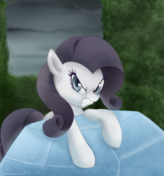 Size: 1103x1182 | Tagged: safe, artist:mn27, imported from derpibooru, rarity, tom, discorded