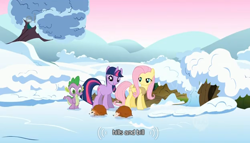 Size: 624x356 | Tagged: safe, imported from derpibooru, screencap, fluttershy, spike, twilight sparkle, hedgehog, winter wrap up, ei, hub logo, snow, youtube caption