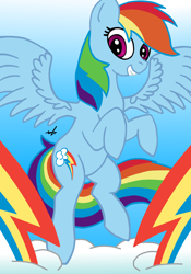 Size: 1750x2506 | Tagged: safe, artist:xscaralienx, imported from derpibooru, rainbow dash, pegasus, pony, female, solo