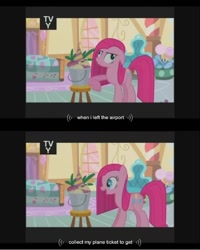 Size: 640x800 | Tagged: safe, imported from derpibooru, screencap, pinkie pie, party of one, pinkamena diane pie, tv rating, youtube caption