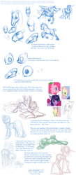 Size: 789x1803 | Tagged: safe, artist:noel, imported from derpibooru, pony, drawing tutorial, how to draw