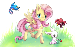 Size: 800x500 | Tagged: safe, artist:cheerubi, imported from derpibooru, fluttershy, bird, pegasus, pony, rabbit, animal, cute, female, flower, grass, mare, outdoors, raised hoof, shyabetes, smiling, solo, spread wings, three quarter view, wings