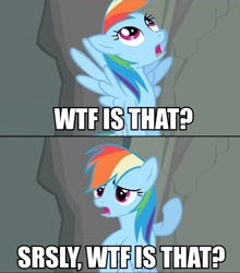 Size: 844x960 | Tagged: safe, imported from derpibooru, rainbow dash, pegasus, pony, female, flying, image macro, mare, open mouth, pointing, reaction image, solo, wtf