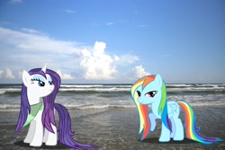 Size: 3456x2304 | Tagged: safe, artist:hachaosagent, imported from derpibooru, rainbow dash, rarity, pony, beach, high res, irl, photo, ponies in real life, vector, wet, wet mane, wet mane rarity