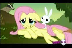 Size: 473x318 | Tagged: safe, imported from derpibooru, screencap, angel bunny, fluttershy, beard