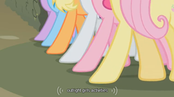 Size: 638x356 | Tagged: safe, imported from derpibooru, screencap, applejack, fluttershy, pinkie pie, rainbow dash, rarity, twilight sparkle, the return of harmony, canterlot hedge maze, female, hooves, legs, youtube caption