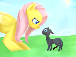 Size: 1024x768 | Tagged: safe, artist:casocat, imported from derpibooru, fluttershy, cat, female, solo