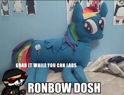 Size: 600x459 | Tagged: safe, artist:plushbuddies, imported from derpibooru, rainbow dash, dj scully, fsjal, irl, killing floor, photo, plushie, ronbow dosh, wat