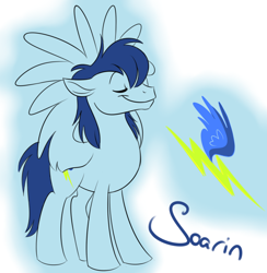 Size: 974x1000 | Tagged: safe, artist:calicopikachu, imported from derpibooru, soarin', pegasus, pony, alternate hairstyle, cutie mark, eyes closed, male, solo, stallion