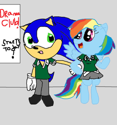 Size: 900x958 | Tagged: safe, artist:cartoonfangirl4, imported from derpibooru, rainbow dash, 1000 hours in ms paint, background pony strikes again, crossover, female, friendship, male, ms paint, shipping, sonic the hedgehog, sonic the hedgehog (series), sonicdash, straight