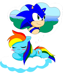 Size: 900x1052 | Tagged: safe, artist:carol-aredesu, imported from derpibooru, rainbow dash, crossover, crossover shipping, female, interspecies, male, shipping, sonic the hedgehog, sonic the hedgehog (series), sonicdash, straight