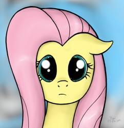 Size: 890x919 | Tagged: safe, artist:xyi, imported from derpibooru, fluttershy, pegasus, pony, bust, female, floppy ears, front view, full face view, looking at you, mare, portrait, solo