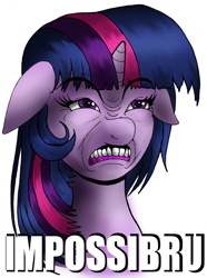 Size: 600x806 | Tagged: safe, artist:lavosvsbahamut, imported from derpibooru, twilight sparkle, caption, image macro, impossibru, reaction image