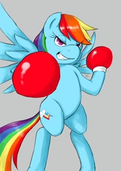 Size: 700x990 | Tagged: safe, artist:diasfox, imported from derpibooru, rainbow dash, pegasus, pony, boxing, boxing gloves, quadrupedal, solo