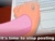 Size: 600x457 | Tagged: safe, imported from derpibooru, pinkie pie, earth pony, human, pony, computer, female, hand, hooves, image macro, internet, it's time to stop posting, keyboard, laptop computer, mare, posting
