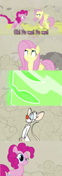 Size: 960x2699 | Tagged: safe, imported from derpibooru, doomie, fluttershy, pinkie pie, changeling, mouse, pony, a canterlot wedding, comic, confused, crossover, disguise, disguised changeling, meme, name pun, pinky, pinky (pinky and the brain), pinky and the brain, pun