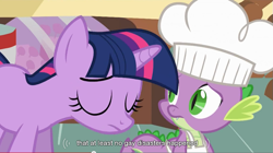 Size: 853x476 | Tagged: safe, edit, edited screencap, imported from derpibooru, screencap, spike, twilight sparkle, dragon, pony, unicorn, caption, female, male, mare, youtube caption