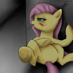 Size: 2000x2000 | Tagged: safe, artist:pewdie-pie, artist:vanefox, imported from derpibooru, fluttershy, pony, featureless crotch, grenade, high res, injured, key, scar, solo