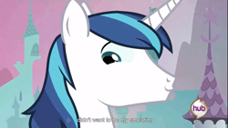 Size: 1366x768 | Tagged: safe, imported from derpibooru, screencap, shining armor, pony, unicorn, male, solo, stallion, youtube caption, youtube link