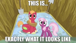 Size: 960x540 | Tagged: safe, edit, edited screencap, imported from derpibooru, screencap, big macintosh, cheerilee, earth pony, pony, hearts and hooves day (episode), caption, clothes, dress, female, hearts and hooves day, image macro, implied sex, innuendo, male, mare, mattress, shovel, stallion, veil, wedding dress