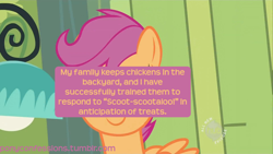 Size: 1280x720 | Tagged: safe, imported from derpibooru, scootaloo, meta, pony confession, text