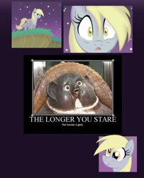 Size: 749x922 | Tagged: safe, imported from derpibooru, derpy hooves, pegasus, pony, discovery meme, exploitable meme, female, mare, meme