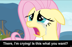 Size: 1024x672 | Tagged: safe, imported from derpibooru, fluttershy, pegasus, pony, break the cutie, bronybait, caption, crying, cs captions, female, floppy ears, mare, solo