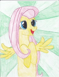 Size: 2552x3348 | Tagged: safe, artist:delatin, imported from derpibooru, fluttershy, high res