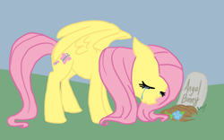 Size: 750x469 | Tagged: safe, artist:bux, imported from derpibooru, angel bunny, fluttershy, crying, grave