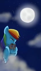 Size: 436x760 | Tagged: dead source, safe, artist:twilightspc, imported from derpibooru, rainbow dash, smarty pants, fanfic:dream of me, cloud, cloudy, crying, explicit source, fanfic, fanfic art, fanfic cover, female, lesbian, moon, night, night sky, sad, shipping, sky, twidash