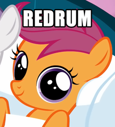 Size: 480x530 | Tagged: safe, imported from derpibooru, scootaloo, pony, female, image macro, looking at you, murder, one word, redrum, smiling, solo, the shining